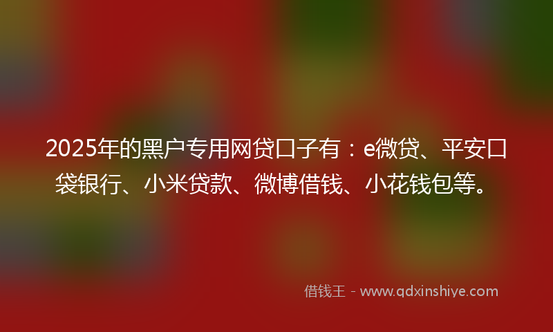 2025年的黑户专用网贷口子有：e微贷、平安口袋银行、小米贷款、微博借钱、小花钱包等。