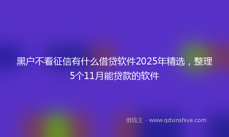 黑户不看征信有什么借贷软件2025年精选，整理5个11月能贷款的软件