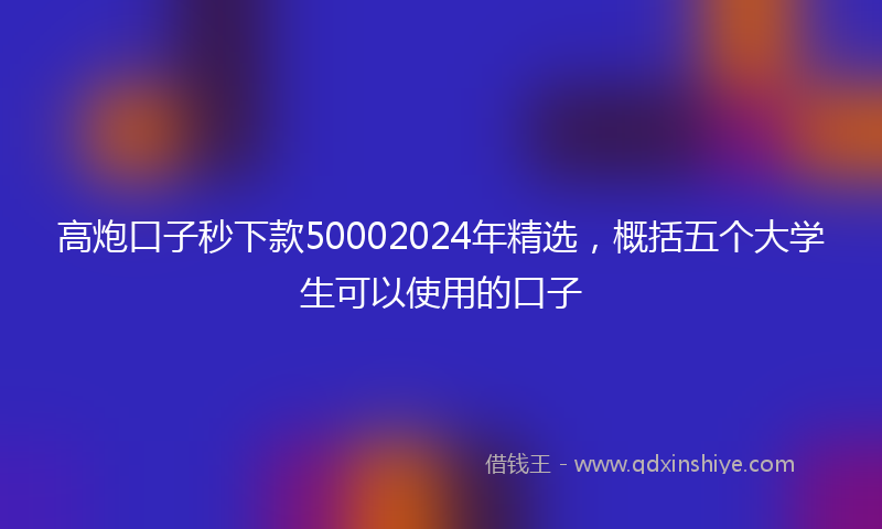 高炮口子秒下款50002024年精选，概括五个大学生可以使用的口子