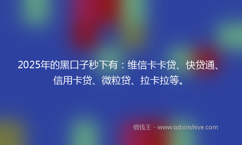 2025年的黑口子秒下有：维信卡卡贷、快贷通、信用卡贷、微粒贷、拉卡拉等。