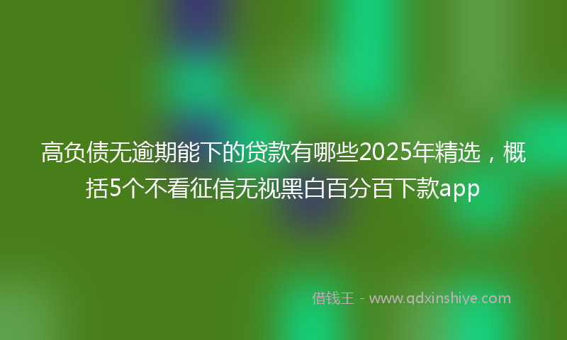 高负债无逾期能下的贷款有哪些2025年精选，概括5个不看征信无视黑白百分百下款app