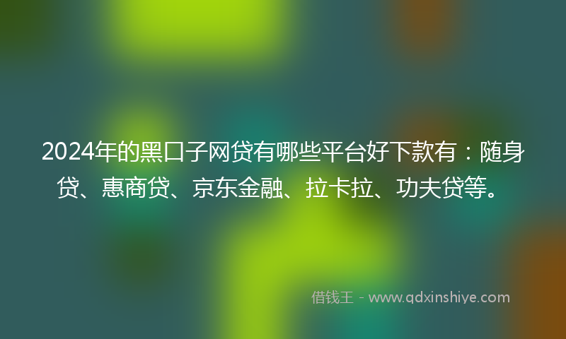 2024年的黑口子网贷有哪些平台好下款有：随身贷、惠商贷、京东金融、拉卡拉、功夫贷等。