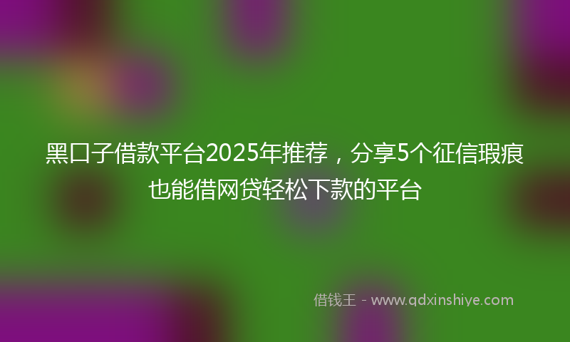黑口子借款平台2025年推荐，分享5个征信瑕疵也能借网贷轻松下款的平台