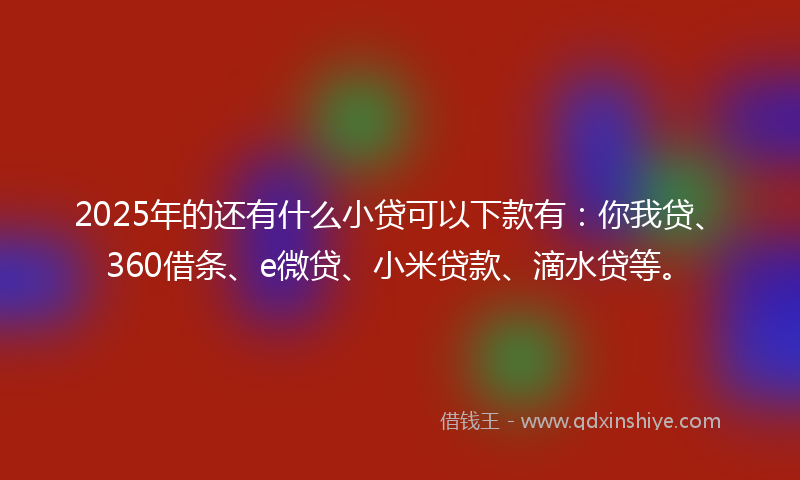 2025年的还有什么小贷可以下款有：你我贷、360借条、e微贷、小米贷款、滴水贷等。