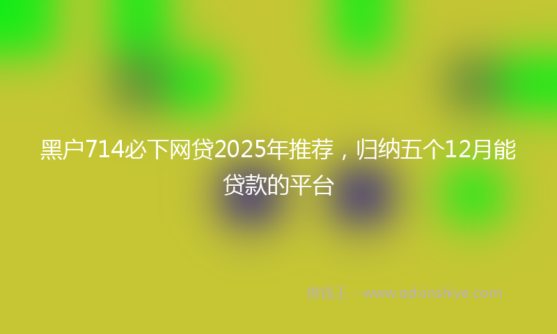 黑户714必下网贷2025年推荐，归纳五个12月能贷款的平台