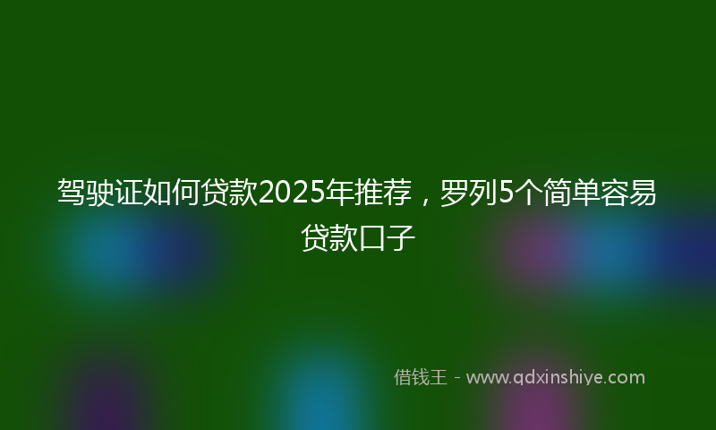 驾驶证如何贷款2025年推荐，罗列5个简单容易贷款口子