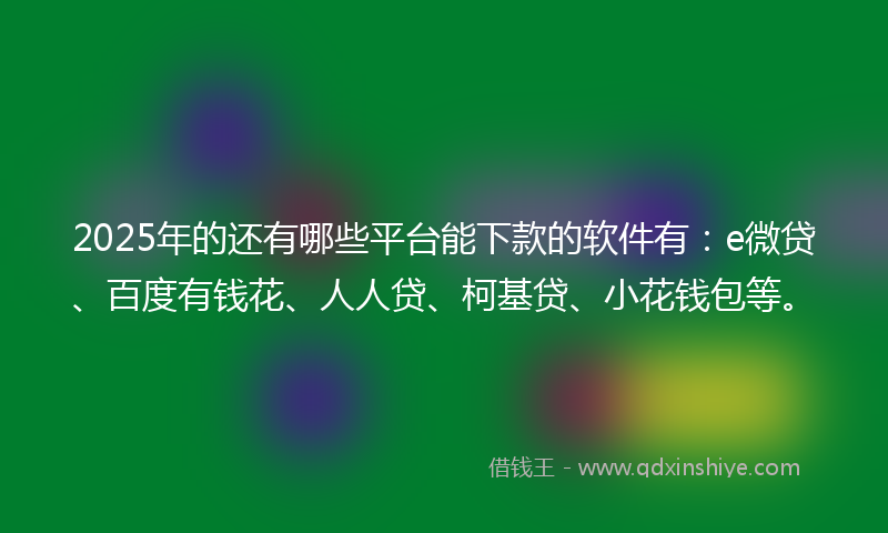 2025年的还有哪些平台能下款的软件有：e微贷、百度有钱花、人人贷、柯基贷、小花钱包等。