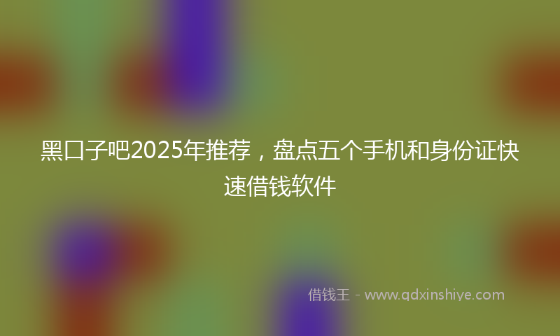 黑口子吧2025年推荐，盘点五个手机和身份证快速借钱软件