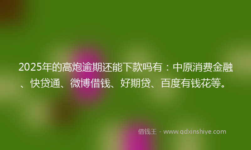 2025年的高炮逾期还能下款吗有：中原消费金融、快贷通、微博借钱、好期贷、百度有钱花等。