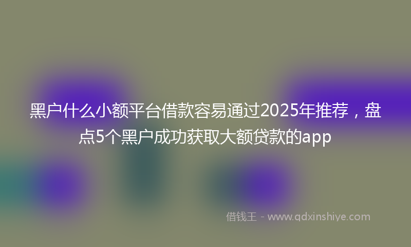 黑户什么小额平台借款容易通过2025年推荐，盘点5个黑户成功获取大额贷款的app