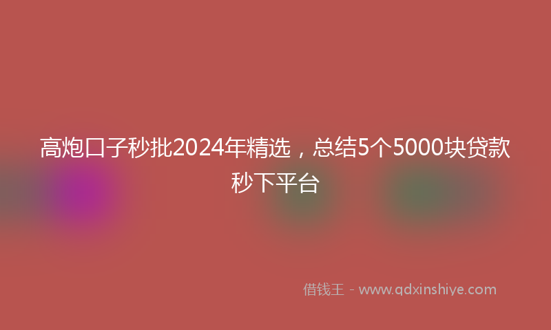高炮口子秒批2024年精选，总结5个5000块贷款秒下平台