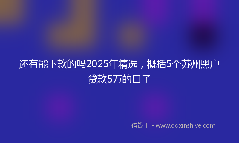 还有能下款的吗2025年精选，概括5个苏州黑户贷款5万的口子