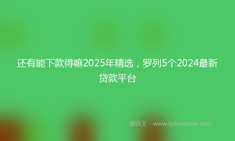 还有能下款得嘛2025年精选，罗列5个2024最新贷款平台