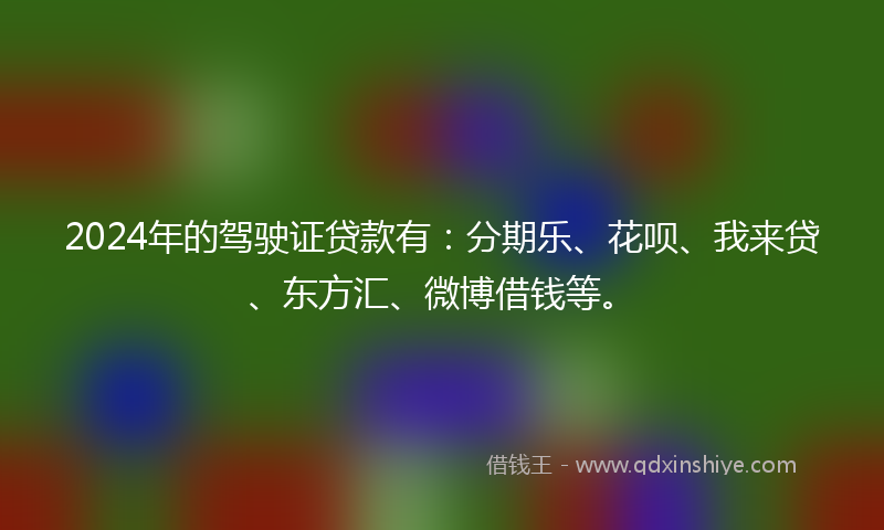 2024年的驾驶证贷款有：分期乐、花呗、我来贷、东方汇、微博借钱等。