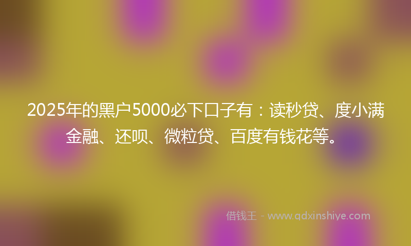 2025年的黑户5000必下口子有：读秒贷、度小满金融、还呗、微粒贷、百度有钱花等。