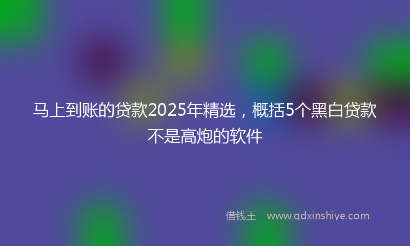 马上到账的贷款2025年精选，概括5个黑白贷款不是高炮的软件