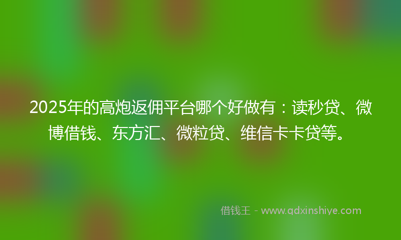 2025年的高炮返佣平台哪个好做有：读秒贷、微博借钱、东方汇、微粒贷、维信卡卡贷等。