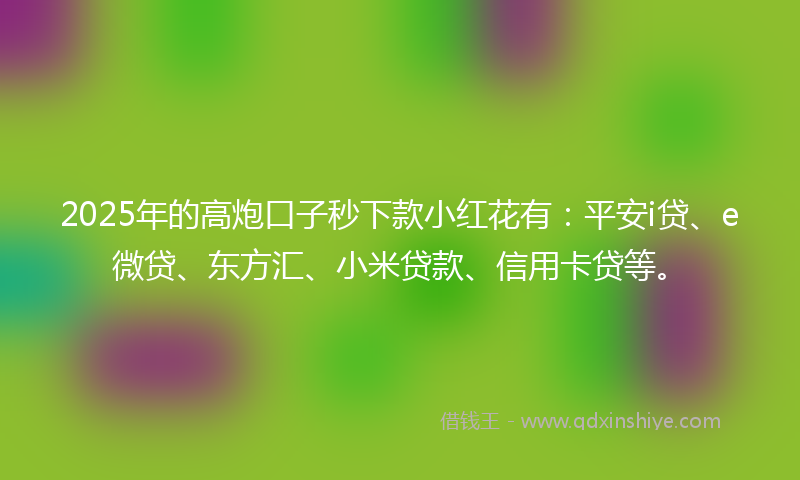 2025年的高炮口子秒下款小红花有：平安i贷、e微贷、东方汇、小米贷款、信用卡贷等。