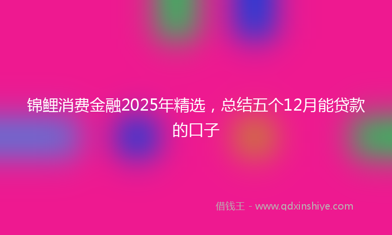 锦鲤消费金融2025年精选，总结五个12月能贷款的口子