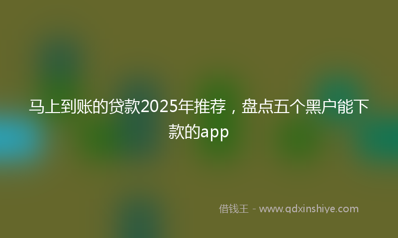 马上到账的贷款2025年推荐，盘点五个黑户能下款的app