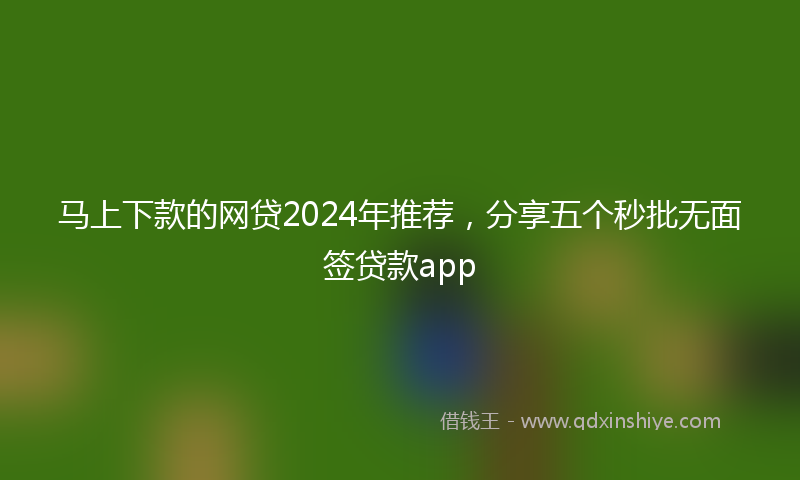 马上下款的网贷2024年推荐，分享五个秒批无面签贷款app