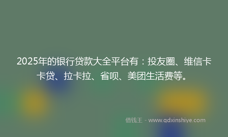 2025年的银行贷款大全平台有：投友圈、维信卡卡贷、拉卡拉、省呗、美团生活费等。