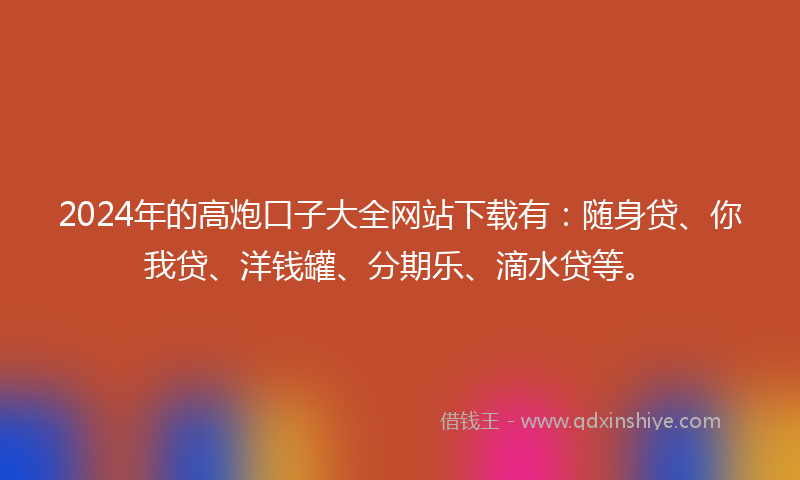 2024年的高炮口子大全网站下载有：随身贷、你我贷、洋钱罐、分期乐、滴水贷等。