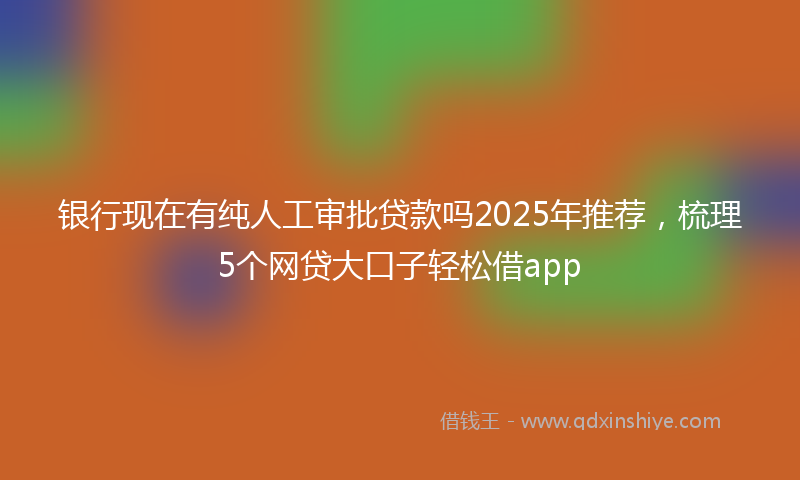 银行现在有纯人工审批贷款吗2025年推荐，梳理5个网贷大口子轻松借app