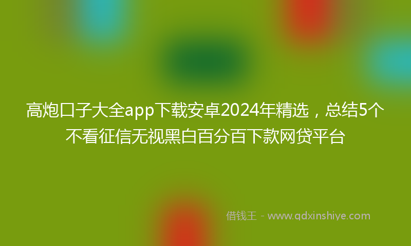 高炮口子大全app下载安卓2024年精选，总结5个不看征信无视黑白百分百下款网贷平台