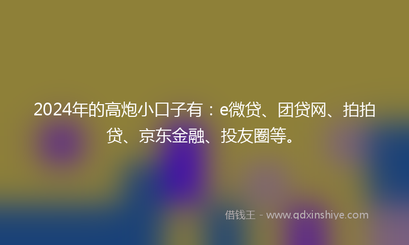 2024年的高炮小口子有：e微贷、团贷网、拍拍贷、京东金融、投友圈等。