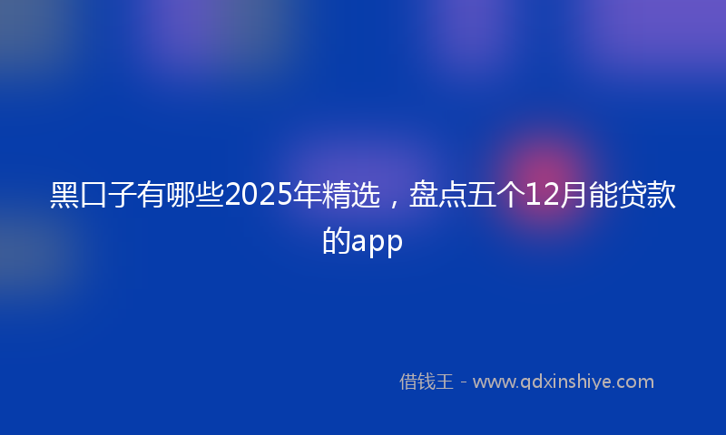 黑口子有哪些2025年精选，盘点五个12月能贷款的app