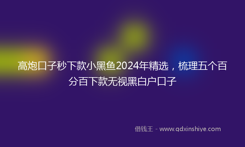 高炮口子秒下款小黑鱼2024年精选，梳理五个百分百下款无视黑白户口子