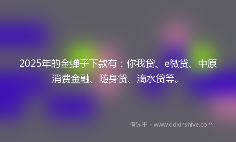 2025年的金蝉子下款有：你我贷、e微贷、中原消费金融、随身贷、滴水贷等。