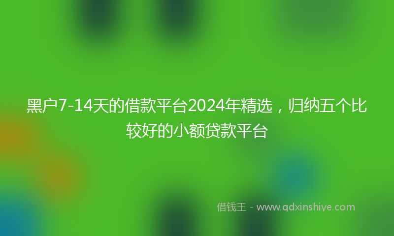 黑户7-14天的借款平台2024年精选，归纳五个比较好的小额贷款平台