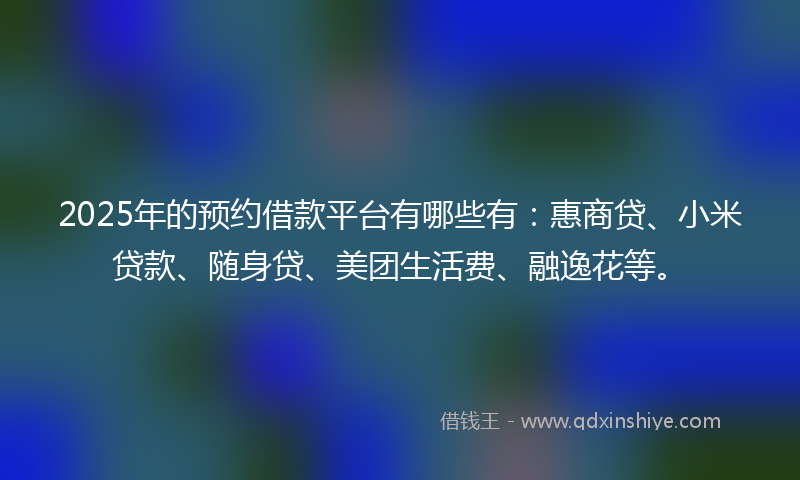2025年的预约借款平台有哪些有：惠商贷、小米贷款、随身贷、美团生活费、融逸花等。