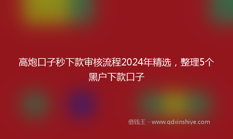 高炮口子秒下款审核流程2024年精选，整理5个黑户下款口子
