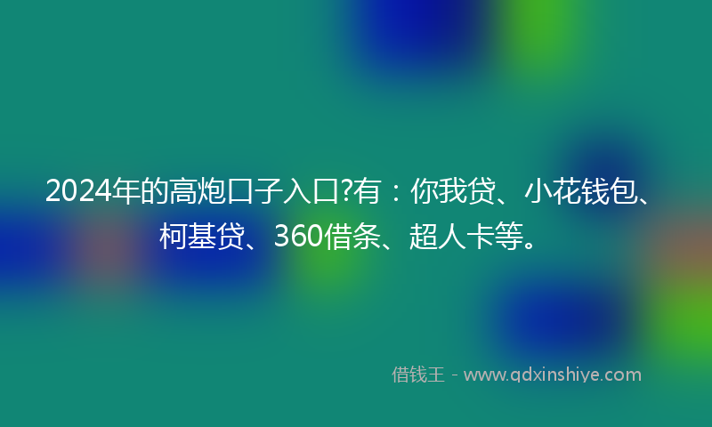 2024年的高炮口子入口?有：你我贷、小花钱包、柯基贷、360借条、超人卡等。