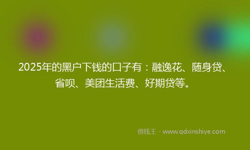 2025年的黑户下钱的口子有：融逸花、随身贷、省呗、美团生活费、好期贷等。