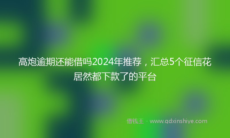 高炮逾期还能借吗2024年推荐，汇总5个征信花居然都下款了的平台