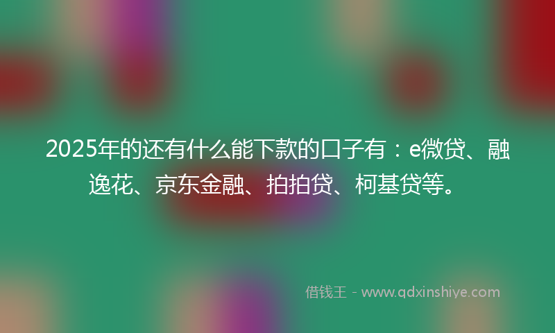 2025年的还有什么能下款的口子有：e微贷、融逸花、京东金融、拍拍贷、柯基贷等。