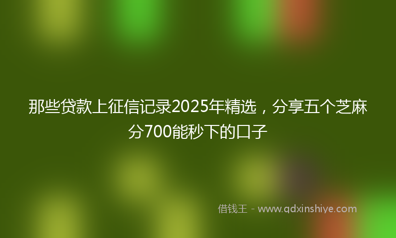 那些贷款上征信记录2025年精选，分享五个芝麻分700能秒下的口子