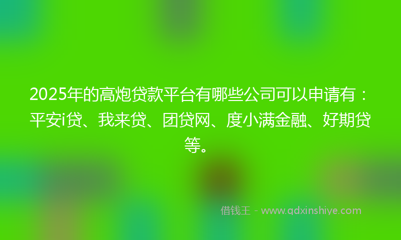 2025年的高炮贷款平台有哪些公司可以申请有：平安i贷、我来贷、团贷网、度小满金融、好期贷等。
