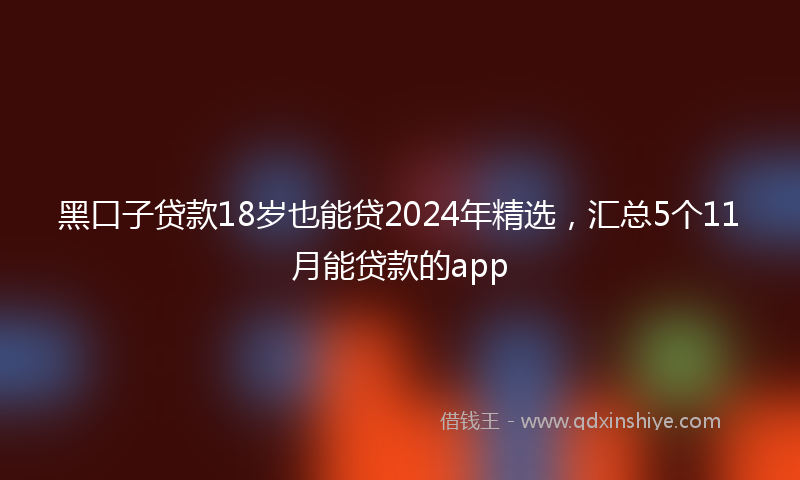 黑口子贷款18岁也能贷2024年精选，汇总5个11月能贷款的app