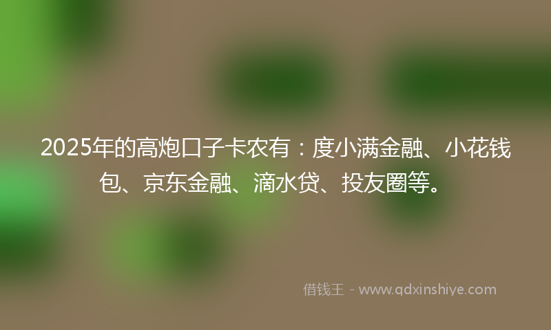 2025年的高炮口子卡农有：度小满金融、小花钱包、京东金融、滴水贷、投友圈等。