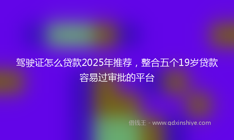 驾驶证怎么贷款2025年推荐，整合五个19岁贷款容易过审批的平台