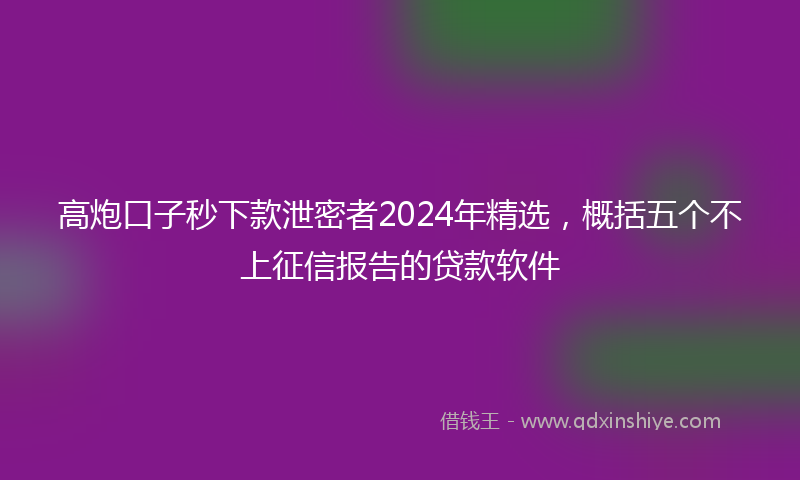 高炮口子秒下款泄密者2024年精选，概括五个不上征信报告的贷款软件
