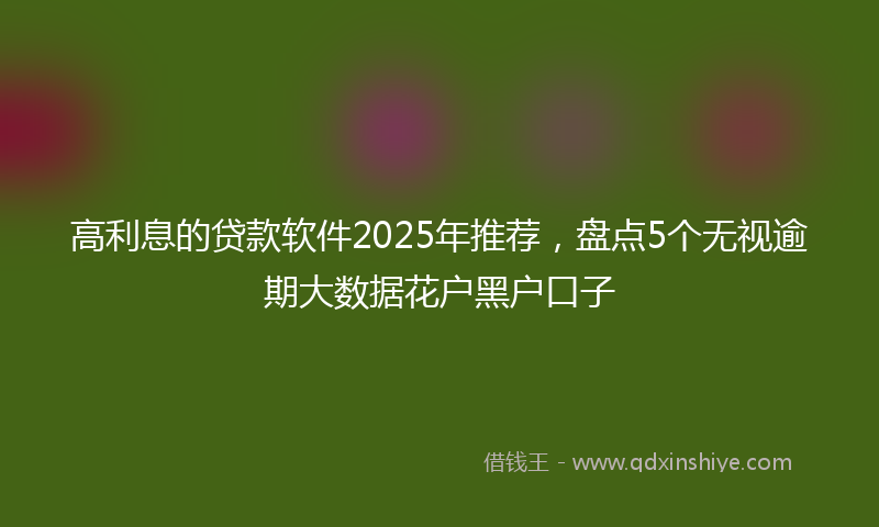 高利息的贷款软件2025年推荐，盘点5个无视逾期大数据花户黑户口子