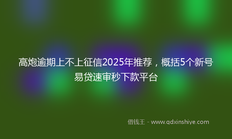 高炮逾期上不上征信2025年推荐，概括5个新号易贷速审秒下款平台