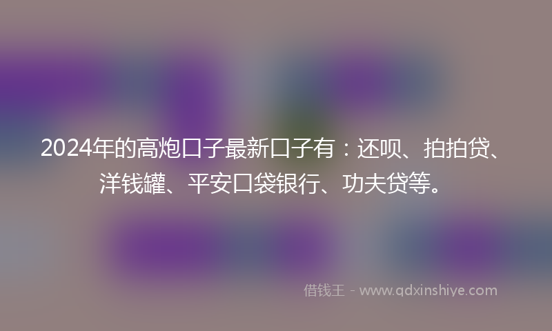 2024年的高炮口子最新口子有：还呗、拍拍贷、洋钱罐、平安口袋银行、功夫贷等。