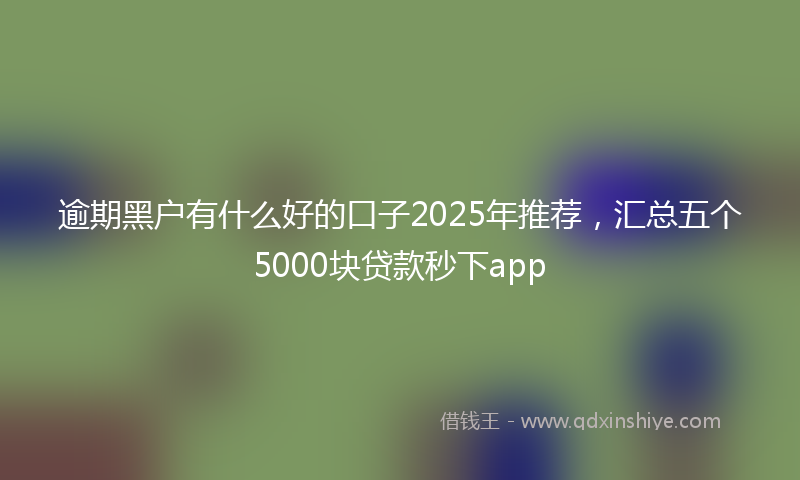 逾期黑户有什么好的口子2025年推荐，汇总五个5000块贷款秒下app